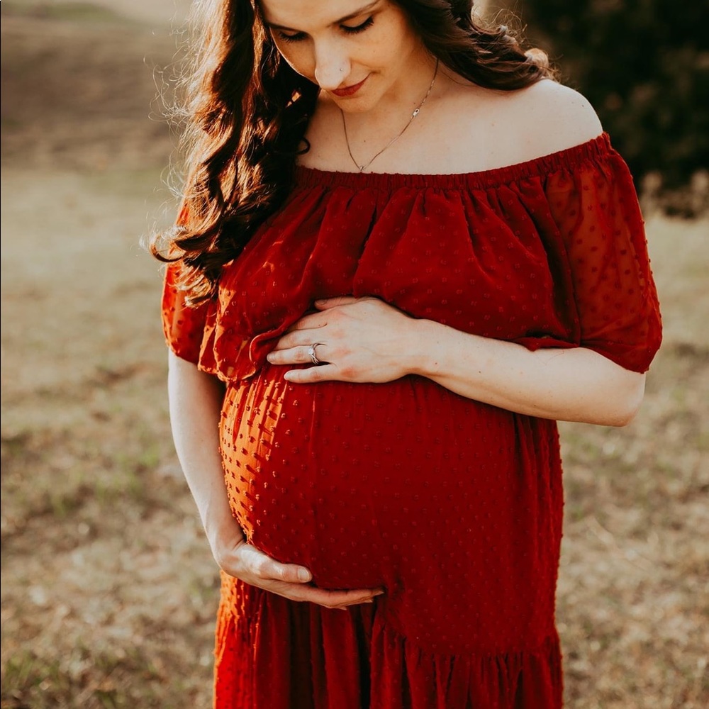 Gorgeous Baltic Born Rust Swiss Dot Maxi Dress